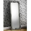Rococo Pewter Lean-To Dress Mirror